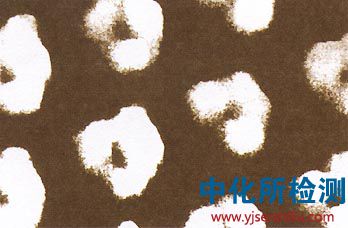 掃描隧道顯微鏡