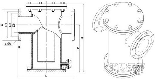 襯氟籃式過濾器
