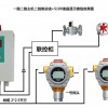 RBK-6000-ZL一氧化碳氣體報警器