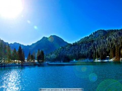 貴州六盤水市公安消防支隊(duì)高清視頻會(huì)議設(shè)備采購項(xiàng)目競(jìng)爭(zhēng)性談判公告